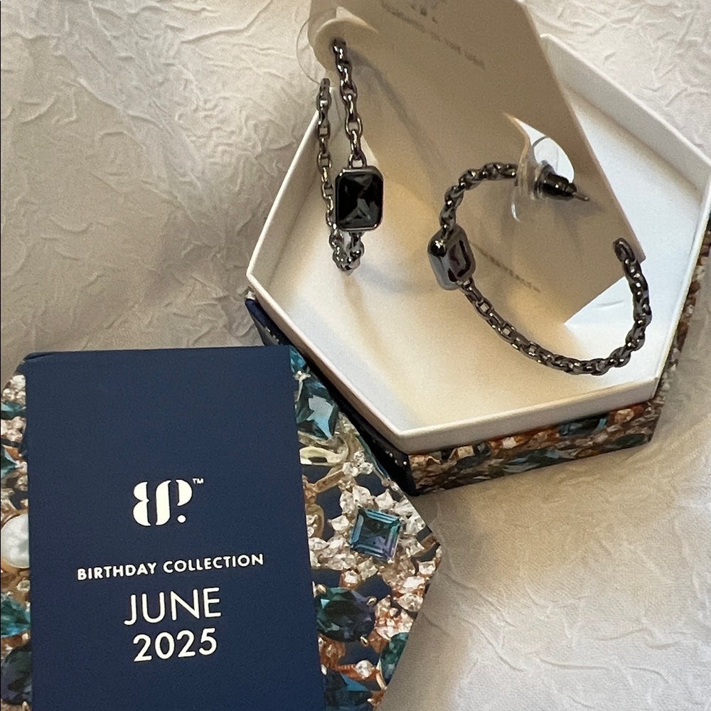 Bomb Party June 2025 Subtle Statements Hematite and Alexandrite hoops